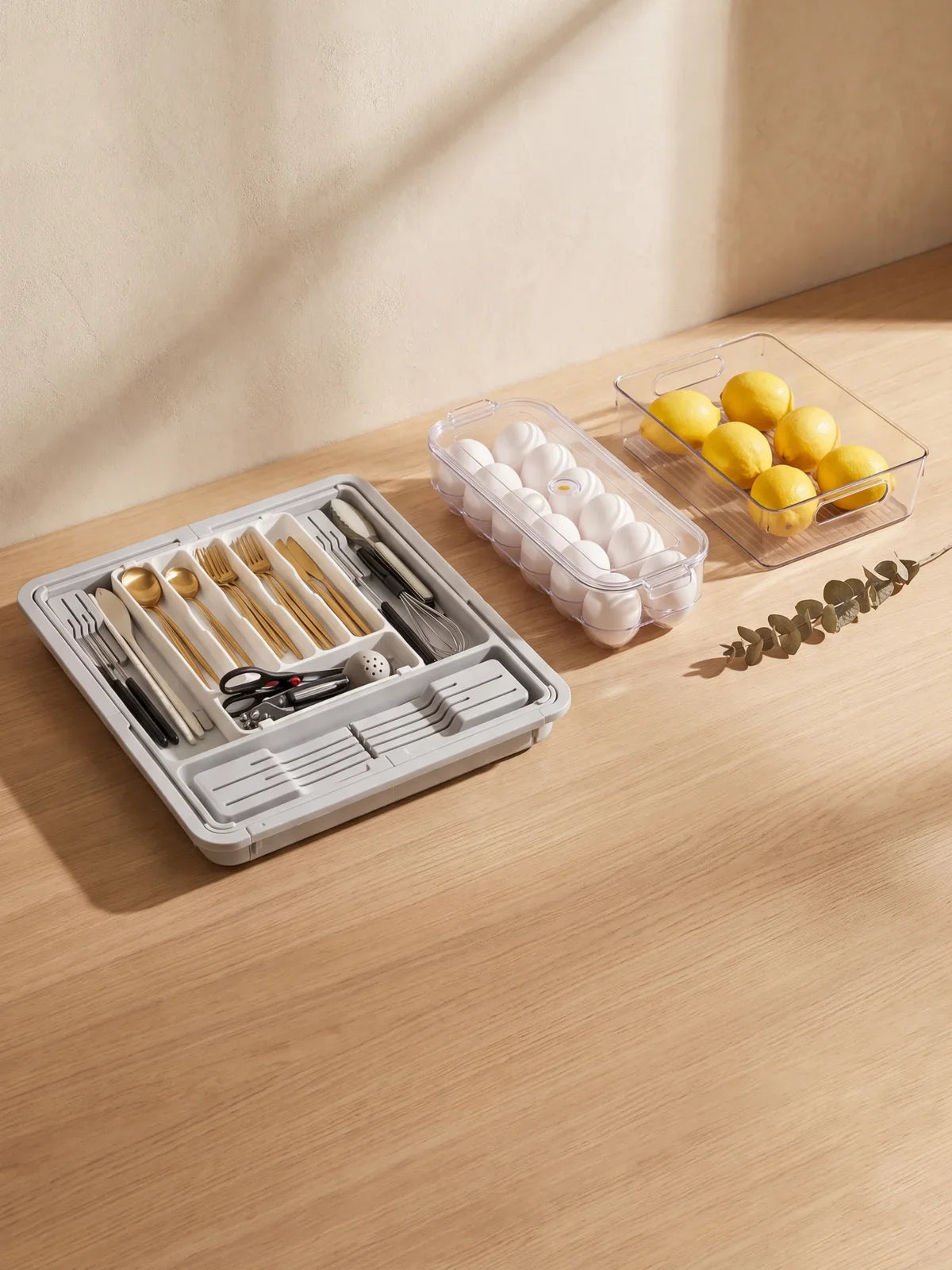Organización