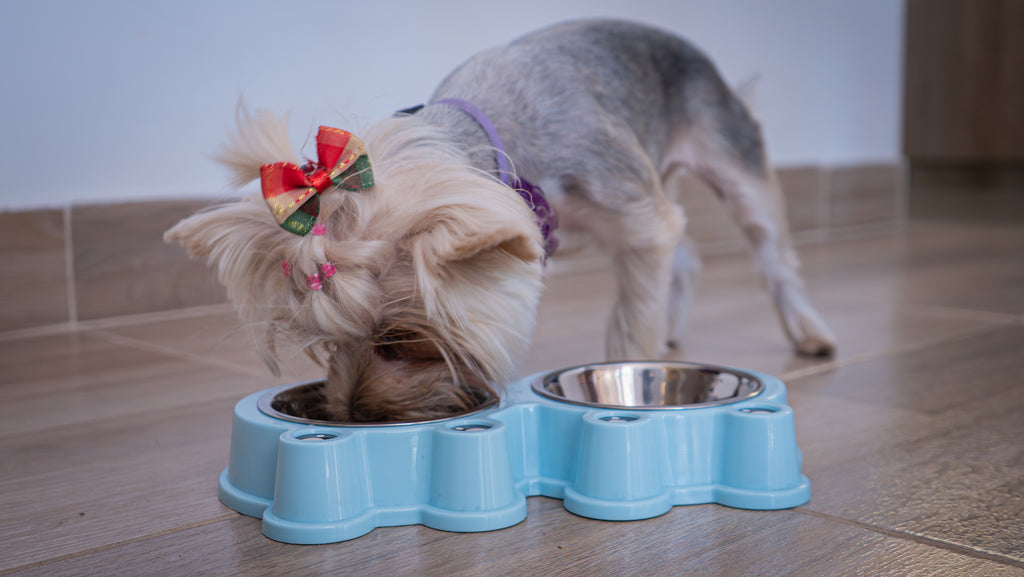 Plato Doble en Acero Inoxidable