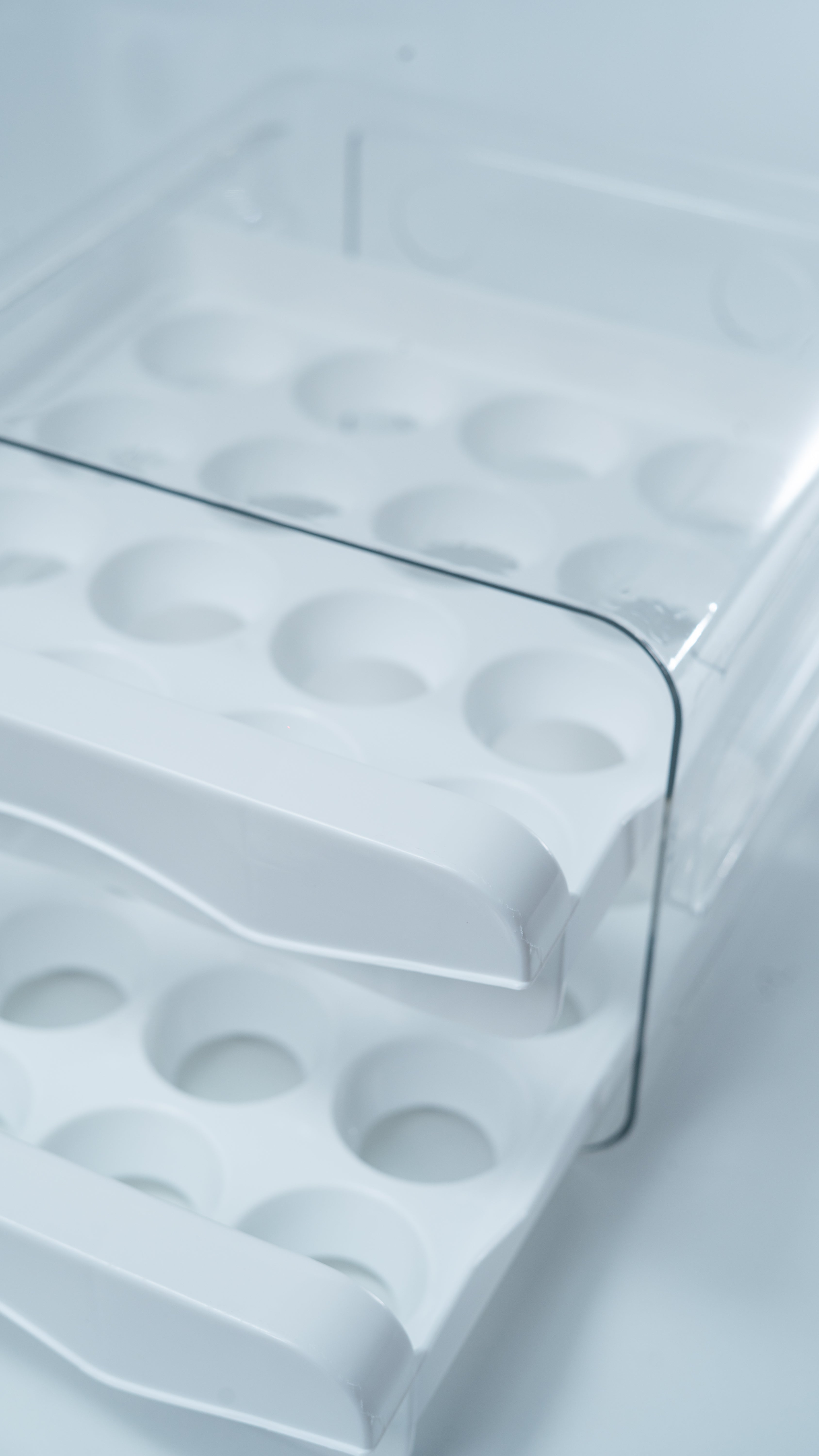 Organizador de huevos x 32