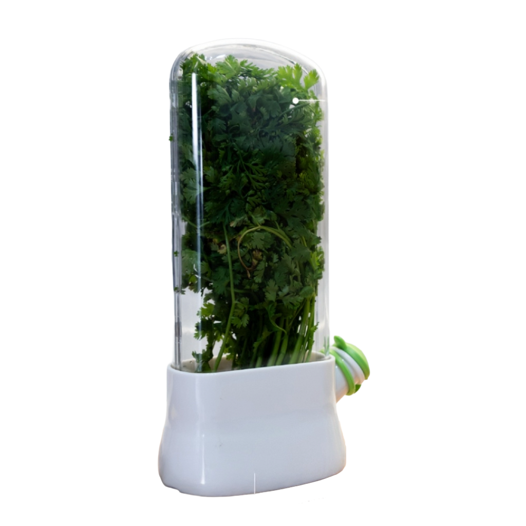 Conservador de Hierbas Frescas