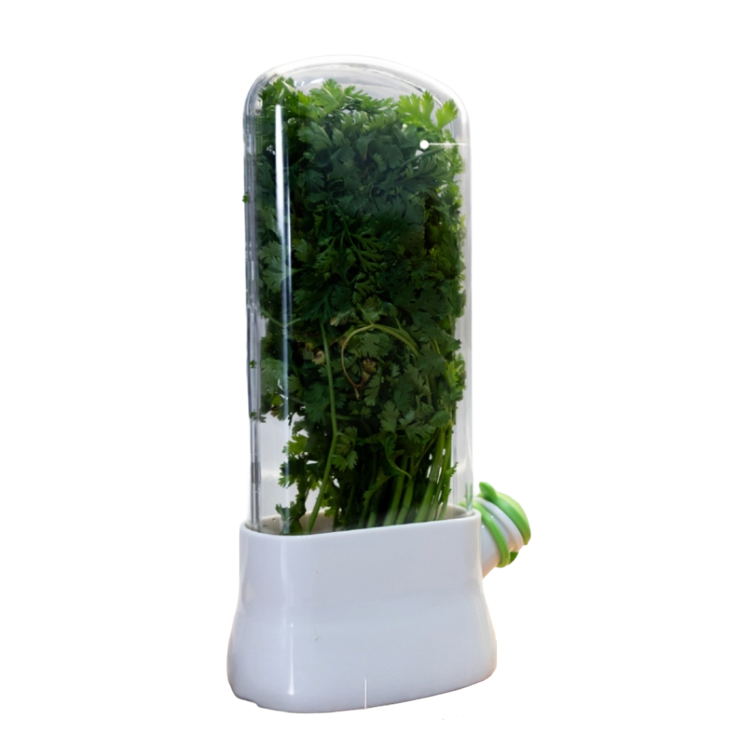 Conservador de Hierbas Frescas